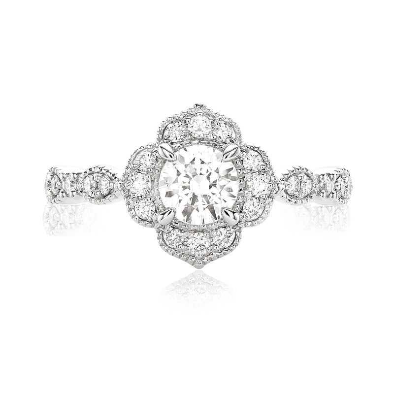 Halo 18ct White Gold Oval & Round Brilliant Cut 3/4 CARAT tw of Diamonds Ring