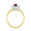 18ct Yellow & White Gold Oval & Round Cut Ruby & 0.25ctw Diamond Ring