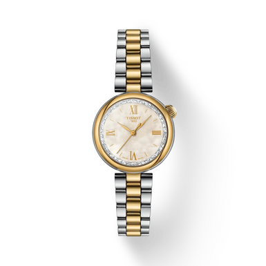 Tissot Desir Watch T1520102211801