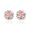 A close view of Rosyle 18ct White & Rose Gold Round Cut 0.25ctw Argyle Authenticated Pink & White Diamonds Earrings