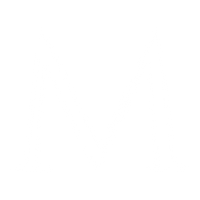 Mazzucchelli's