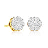 9ct Yellow Gold Round Brilliant Cut with 1/2 CARAT tw of Diamonds Earrings