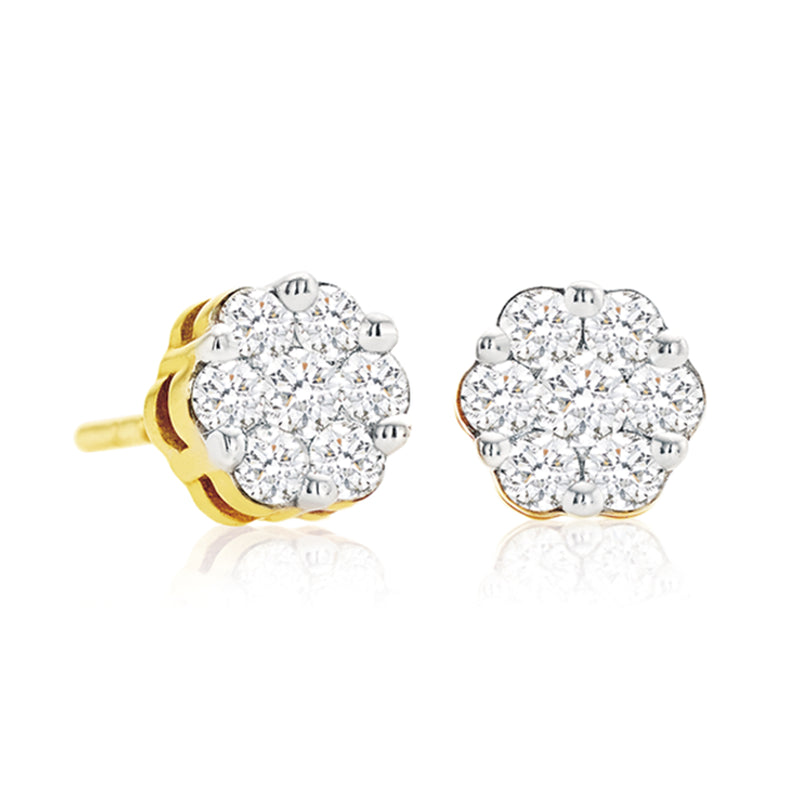 9ct Yellow Gold Round Brilliant Cut with 1/2 CARAT tw of Diamonds Earrings