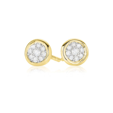 9ct Yellow Gold Round Brilliant Cut 0.12 CARAT tw of Diamonds Earrings