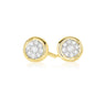 9ct Yellow Gold Round Brilliant Cut 0.12 CARAT tw of Diamonds Earrings