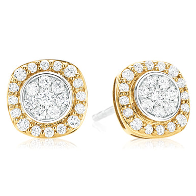 9ct Two Tone Gold Round Brilliant Cut with 1/4 CARAT tw of Diamonds Earrings
