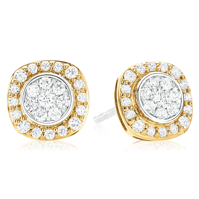 9ct Two Tone Gold Round Brilliant Cut with 1/4 CARAT tw of Diamonds Earrings