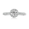 Halo 18ct White Gold Round Brilliant Cut with 1 CARAT tw of Diamonds Ring