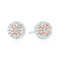 9ct Rose and White Gold Round Brilliant Cut 0.20 carat tw of Diamond Earrings